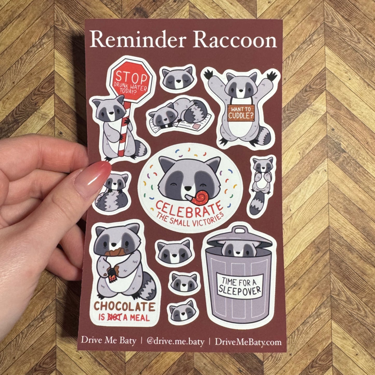 Reminder Raccoon, Cute Raccoon matt vinyl sticker