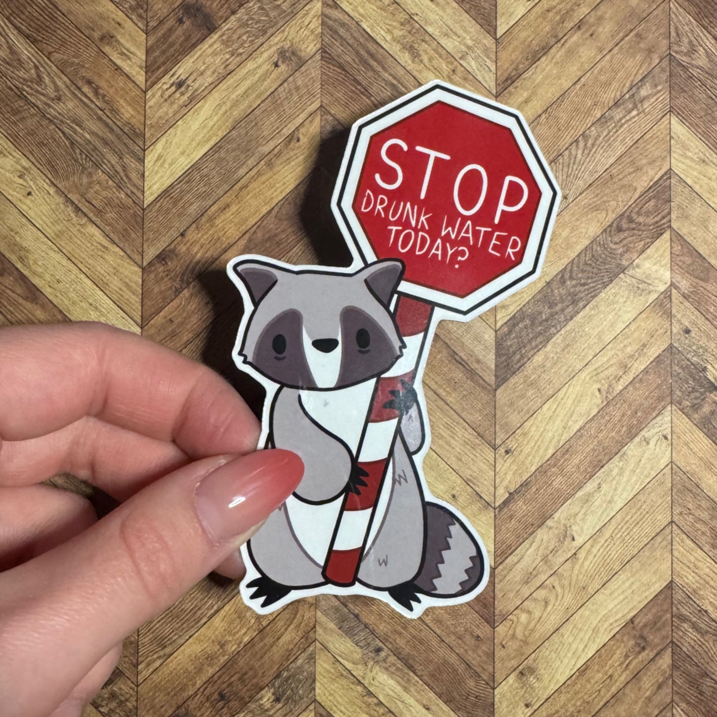 ‘Stop Drunk Water Today? Reminder Raccoon magnet
