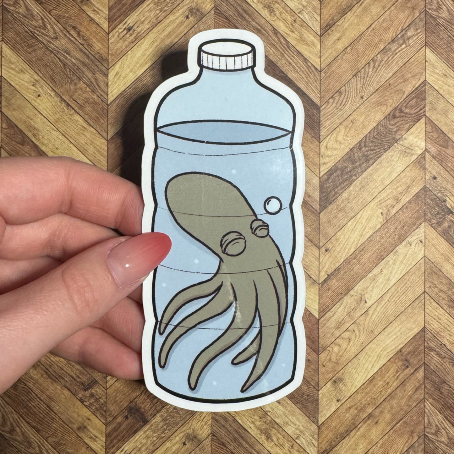 Hydrated Octopus Magnet