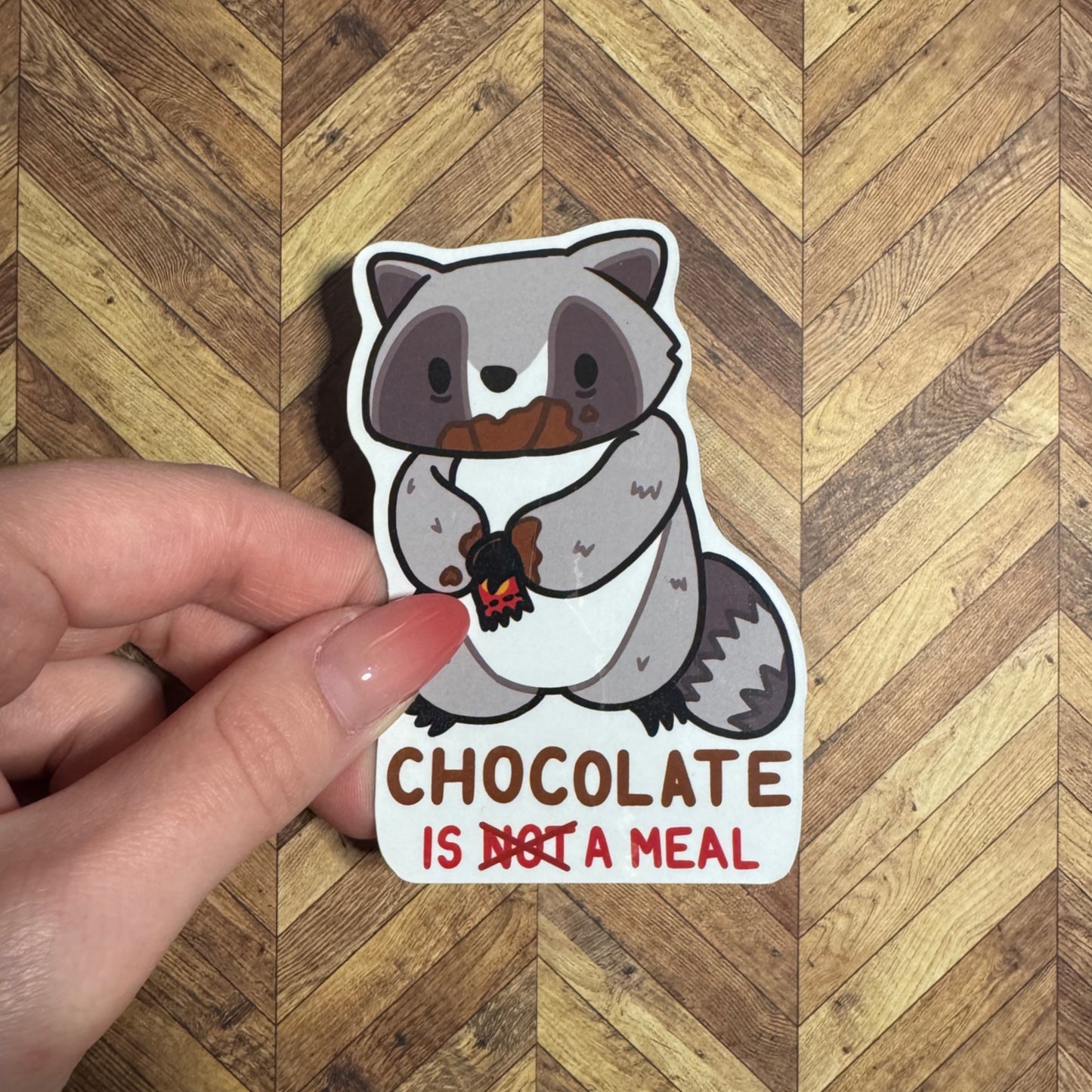 ‘Chocolate is NOT a Meal’ Reminder Raccoon magnet